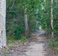 Delta track - Accommodation Port Macquarie