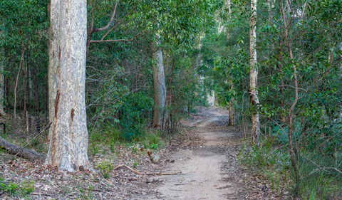 Delta Track - Accommodation Port Macquarie 0
