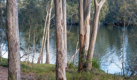 Delta Track - Accommodation Port Macquarie 2