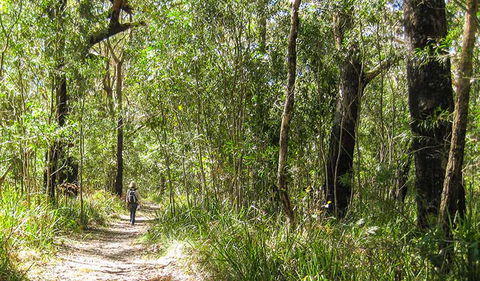 Seven Mile Beach National Park - Accommodation Port Macquarie 2