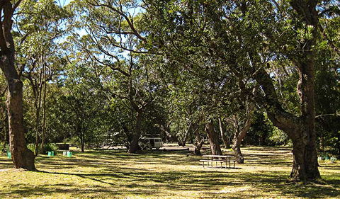 Seven Mile Beach National Park - Accommodation Port Macquarie 3