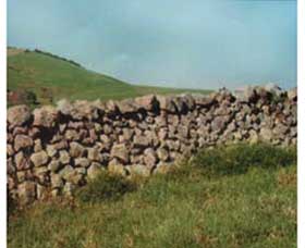 Historic Dry Stone Walls - Accommodation Port Macquarie 0