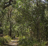 Sand track walk south - Accommodation Port Macquarie