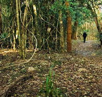 Sand track walk north - Accommodation Port Macquarie