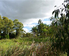 Jabiru Geenbeebeinga Wetlands - Accommodation Port Macquarie 2