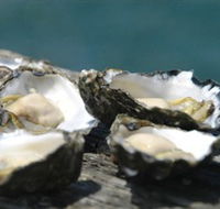 Jim Wilds Oyster Service - Accommodation Port Macquarie