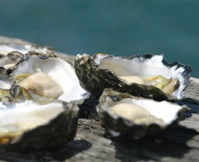 Jim Wilds Oyster Service - Accommodation Port Macquarie 0