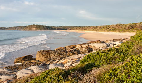 Burrawang Track - Conjola Beach To Buckleys Point - Accommodation Port Macquarie 0