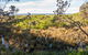 Burrawang Track - Conjola Beach To Buckleys Point - thumb 1