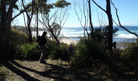 Monument Beach Picnic Area - Accommodation Port Macquarie 2