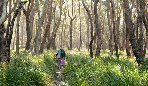 Nerindillah Lagoon Walking Track - Accommodation Port Macquarie 3