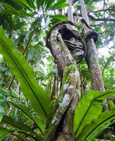  Accommodation Port Macquarie