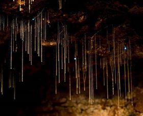 Tamborine Mountain Glow Worm Caves - Accommodation Port Macquarie 0