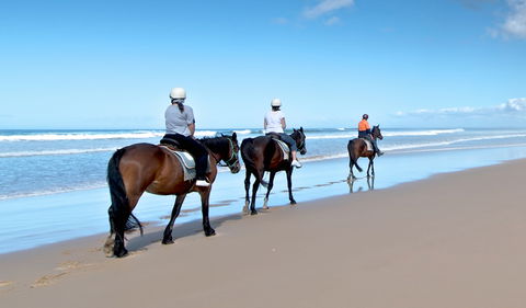 Worimi National Park - Accommodation Port Macquarie 1