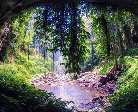 Dorrigo Rainforest Centre - Accommodation Port Macquarie 1