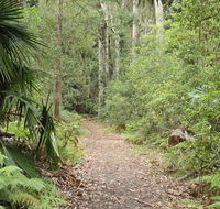 Lake walking track - Accommodation Port Macquarie