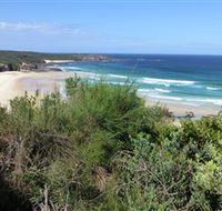 South Pacific Heathland Reserve - Accommodation Port Macquarie