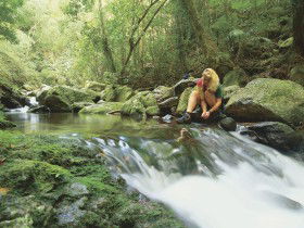 Lower Ballanjui Falls - Accommodation Port Macquarie 0