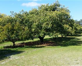 The Avocado Farm - Accommodation Port Macquarie 1