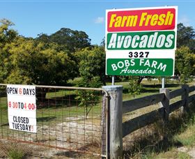 The Avocado Farm - Accommodation Port Macquarie 3
