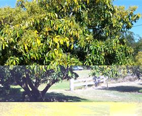 The Avocado Farm - Accommodation Port Macquarie 2