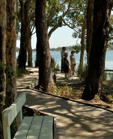 Tilligerry Habitat State Reserve - Accommodation Port Macquarie 2