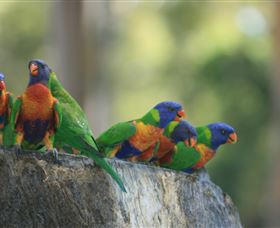 Murrayâ€™s Brewery And Port Stephens Winery - Accommodation Port Macquarie 3