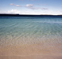 Hyams Beach trail - Accommodation Port Macquarie