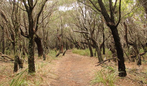 Pretty Beach To Snapper Point Walking Track - Accommodation Port Macquarie 0