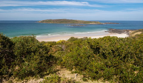 Murramarang Aboriginal Area - Accommodation Port Macquarie 0
