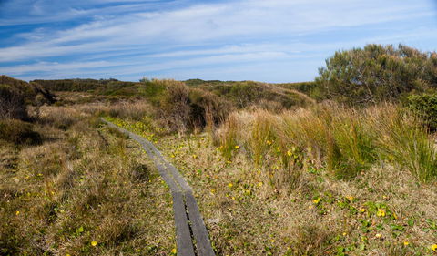 Murramarang Aboriginal Area - Accommodation Port Macquarie 1