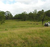 Numinbah Valley Adventure Trails - Accommodation Port Macquarie