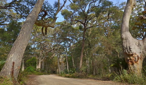 North Head Lookout - Accommodation Port Macquarie 1