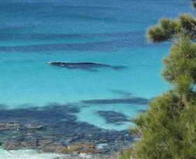Jervis Bay Marine Park - Accommodation Port Macquarie 0