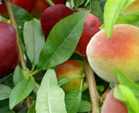 Eungai Creek NSW Accommodation Port Macquarie