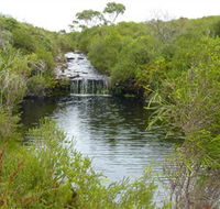 Booderee National Park Green Patch and Telegraph Creek Walking Tracks - Accommodation Port Macquarie