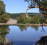 Oak Grove Walk Balingup - Accommodation Port Macquarie