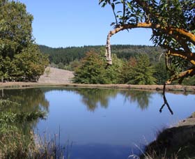 Oak Grove Walk, Balingup - Accommodation Port Macquarie 0