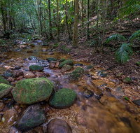 Starrs Creek picnic area - Accommodation Port Macquarie