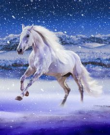 Australian Outback Spectacular: High Country Legends - Accommodation Port Macquarie 1