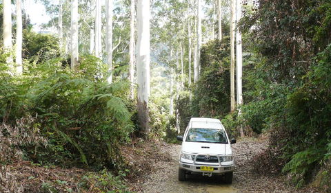 Bindarri National Park - Accommodation Port Macquarie 2