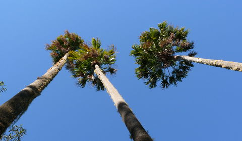Bindarri National Park - Accommodation Port Macquarie 0