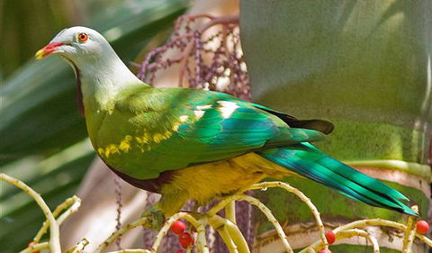 Bindarri National Park - Accommodation Port Macquarie 3