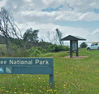 Fishermans Bay foreshore - Accommodation Port Macquarie