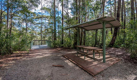 Big Nellie Lookout And Picnic Area - Accommodation Port Macquarie 0