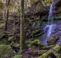 Coorabakh National Park - Accommodation Port Macquarie