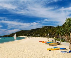 Tangalooma Dolphin Feeding - Accommodation Port Macquarie 2