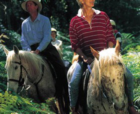 Clarendon Forest Retreat Horse Riding - Accommodation Port Macquarie 2