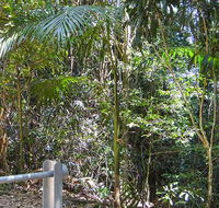 Goorgana walking track - Accommodation Port Macquarie