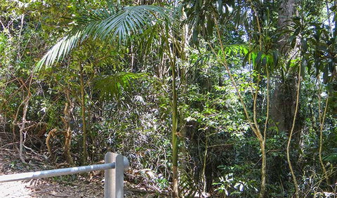 Goorgana Walking Track - Accommodation Port Macquarie 0